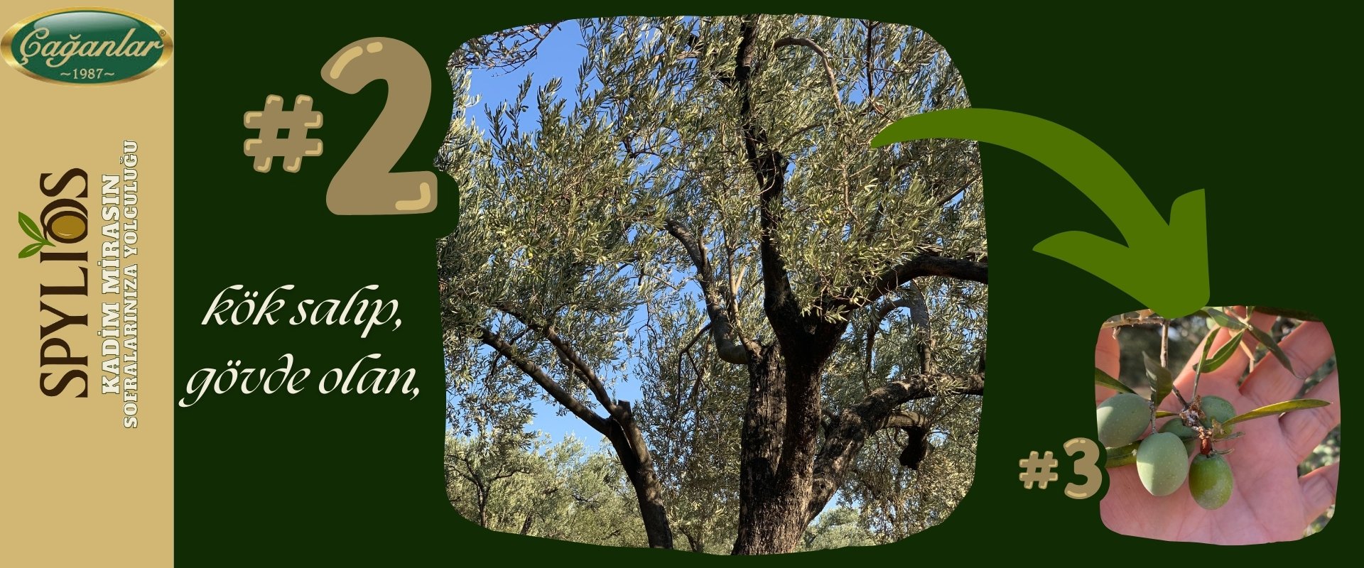 SPYLIOS KADİM MİRAS