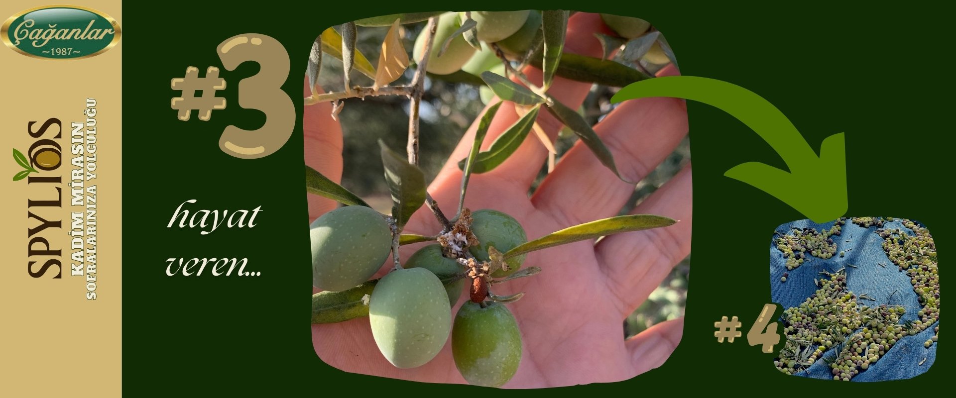 SPYLIOS KADİM MİRAS