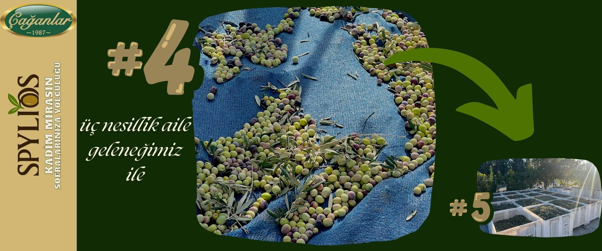 SPYLIOS KADİM MİRAS