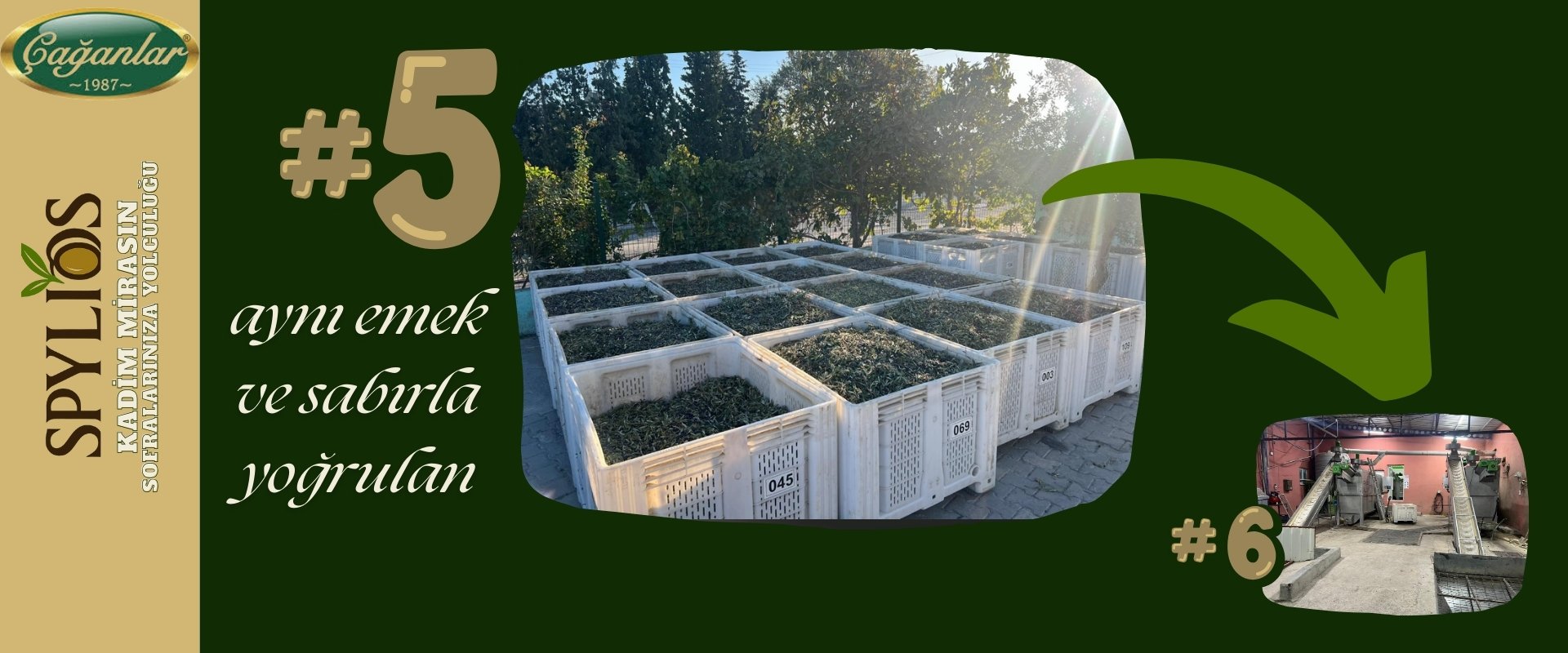 SPYLIOS KADİM MİRAS