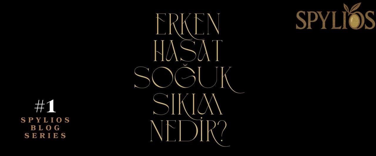 “SPYLIOS Erken Hasat Soğuk Sıkım Zeytinyağı: Sağlık ve Lezzeti Sofranıza Taşıyan Doğal Miras”