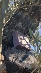 Doğal Lavanta Özlü Sabun | El Yapımı & Bitkisel