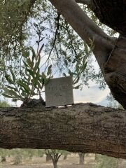 Termal Kil Doğal Sabunu | Doğal & Bitkisel | El Yapımı | Cilt Arındırıcı