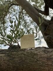 Eşek Sütlü Doğal Sabunu | Doğal & Bitkisel | El yapımı | Nemlendirici & Besleyici