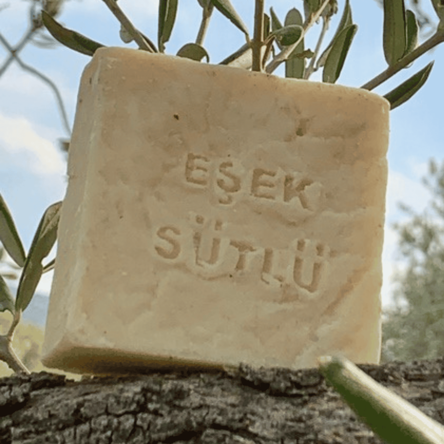 Eşek Sütlü Doğal Sabun