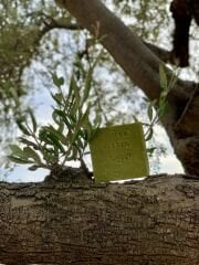 Natürel Bıttım Doğal Sabunu | Doğal & Bitkisel | El yapımı | Saç Dökülmesine Karşı Doğal Sabun