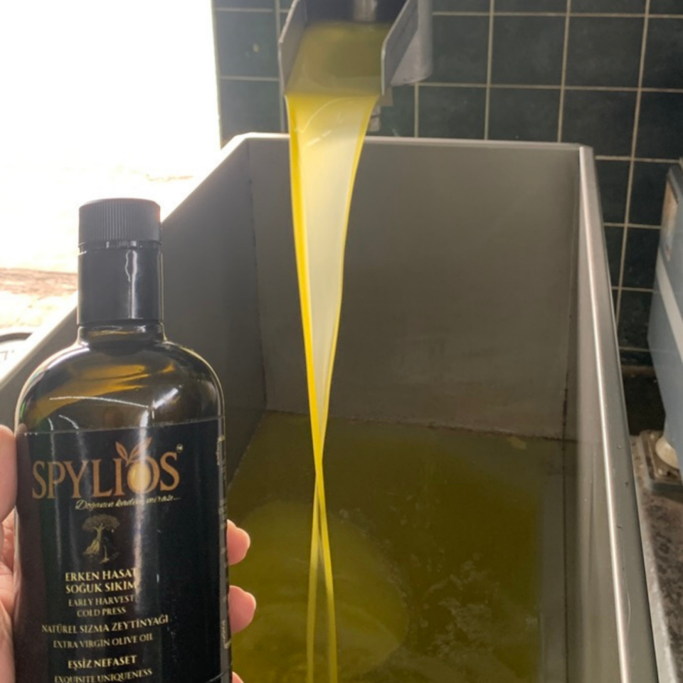 Spylios Natürel Erken Hasat Soğuk Sıkım Trilye Sızma Zeytinyağı Set 4'lü 500 ML Cam Şişe