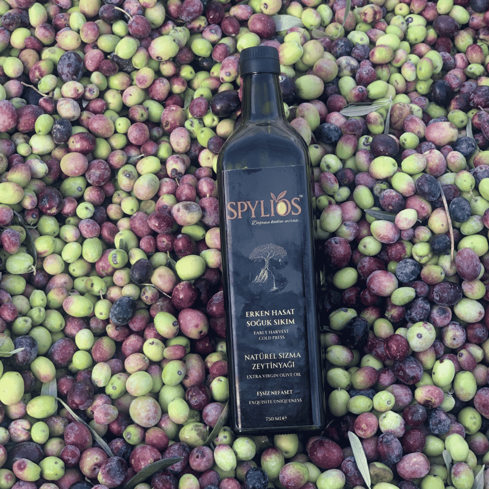 Spylios Natürel Erken Hasat Soğuk Sıkım Trilye Sızma Zeytinyağı Set 4'lü 750 ML Cam Şişe