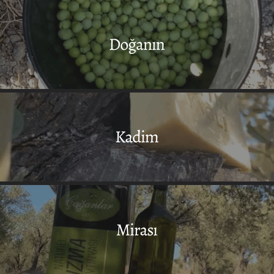 Doğanın Kadim Mirası Çağanlar